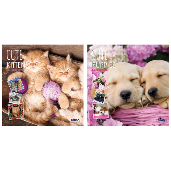 Calendar Square Kittens & Puppies 2027 12pk