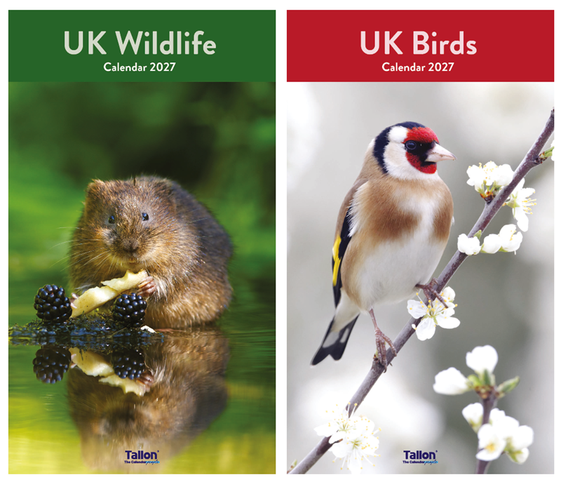 Calendar Midi UK Birds & Wildlife 2027 12pk