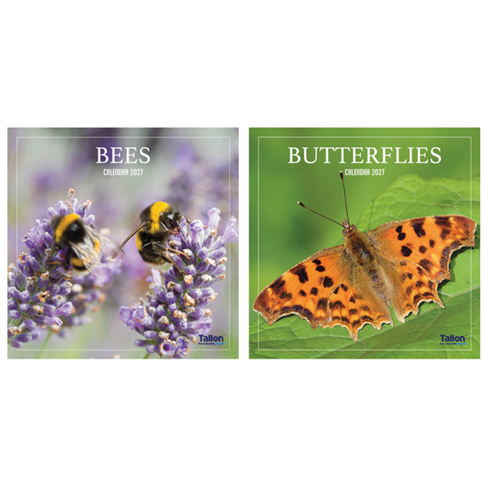 Calendar Square Bees & Butterflies 2027 12pk
