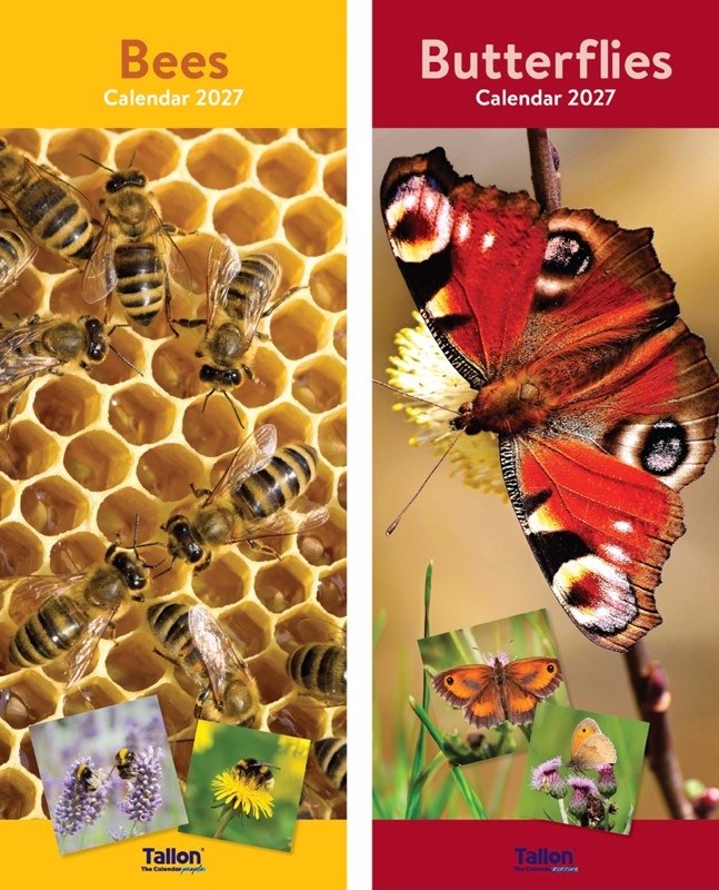 Calendar Super Slim Bees & Butterflies 2027 24pk
