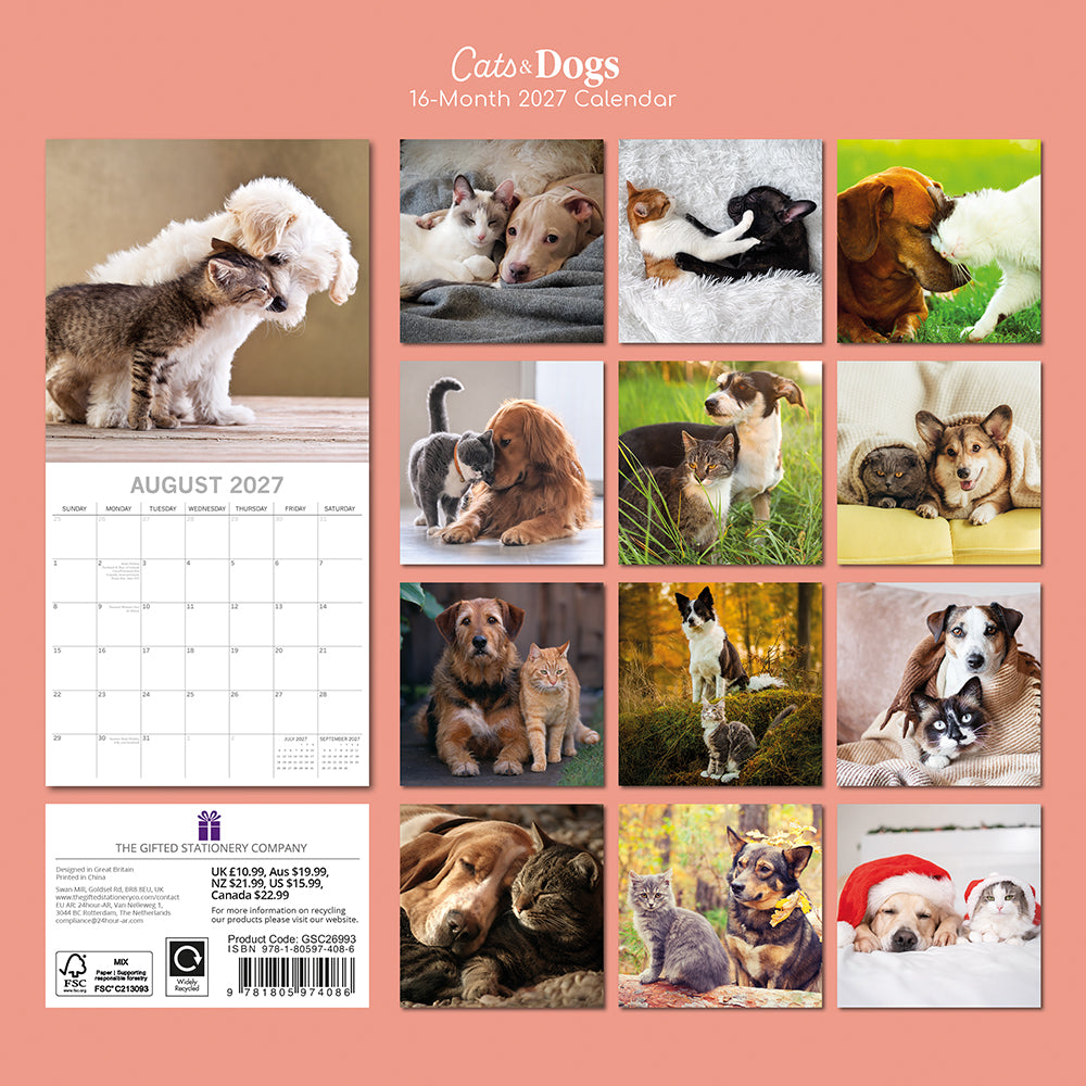 Gifted Stationery Calendar Cats & Dogs 2027