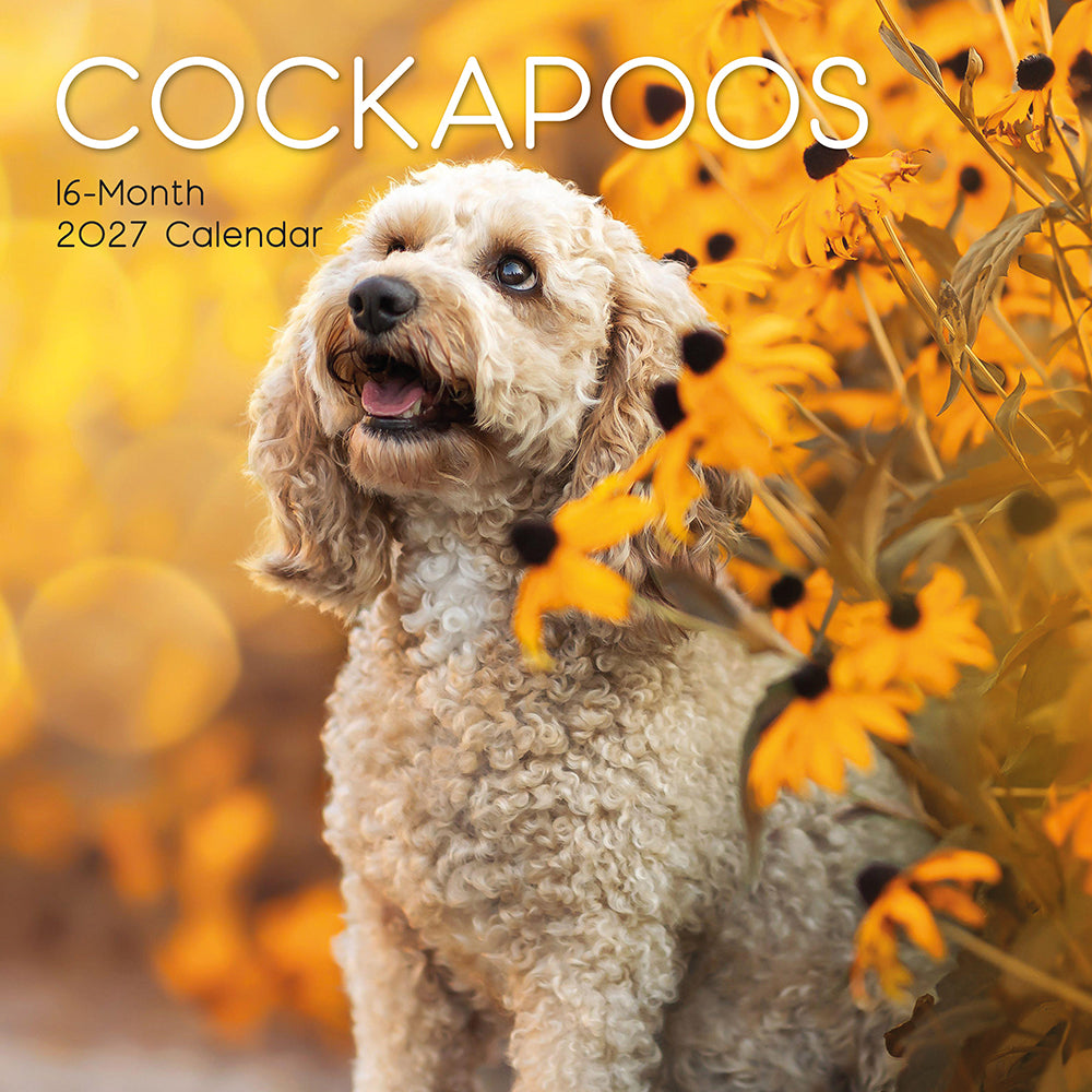 Gifted Stationery Calendar Cockapoos 2027
