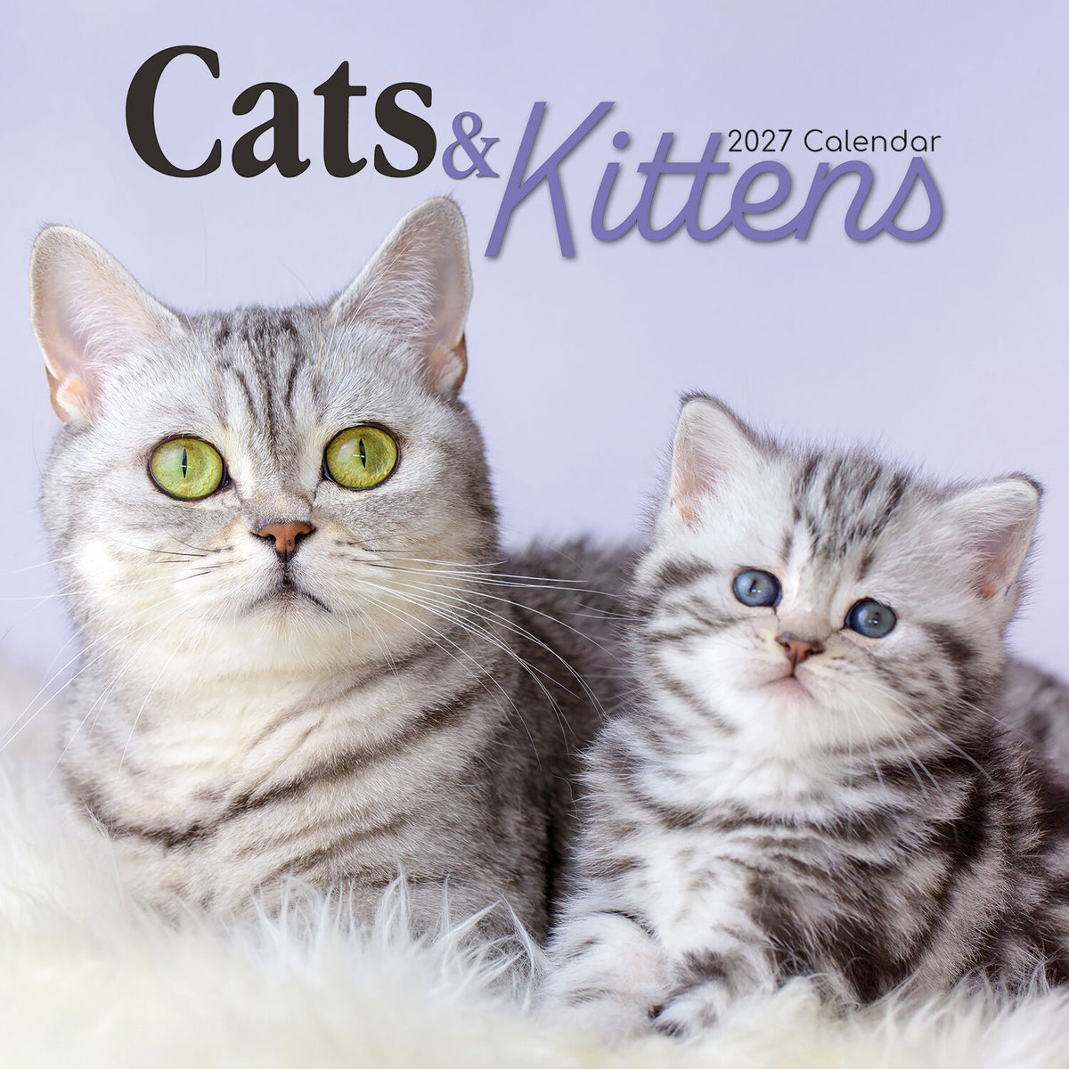 Gifted Stationery Calendar Cats & Kittens 2027