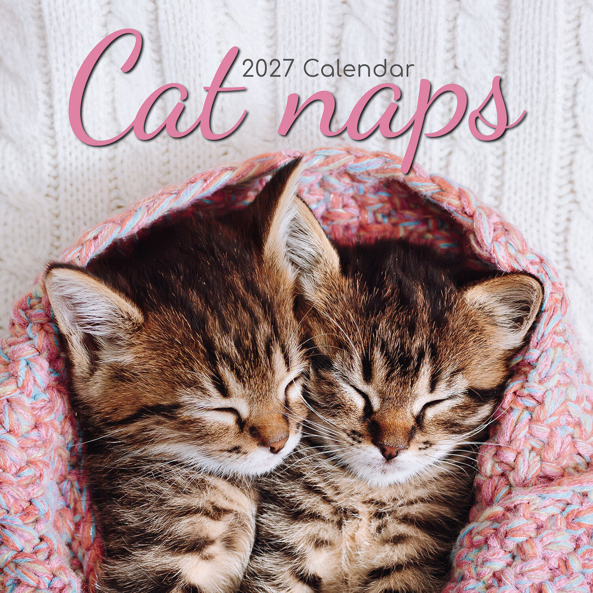 Gifted Stationery Calendar Cat Naps 2027