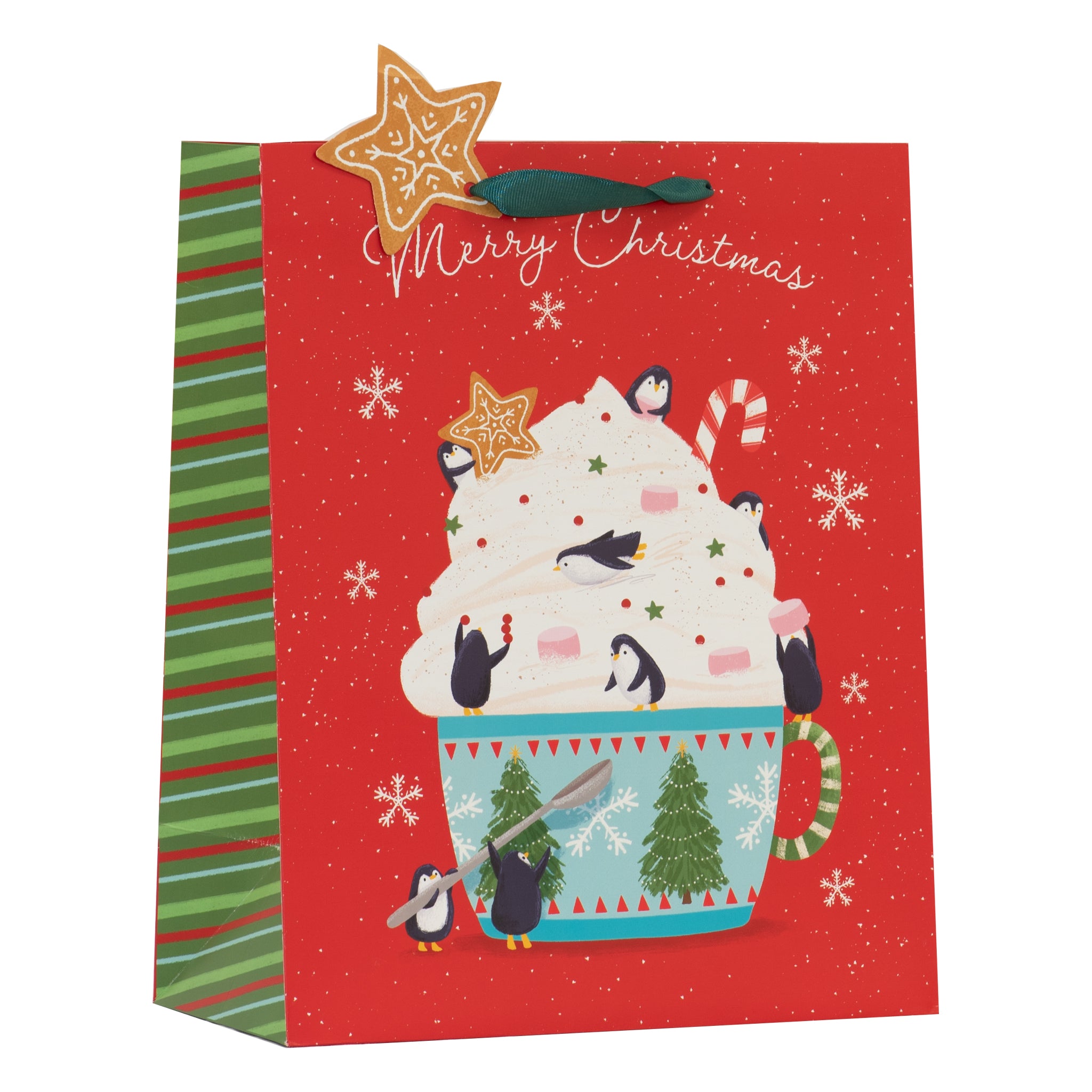 Arctic Slide Gift Bag Large 6pk