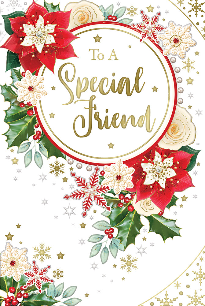 Xpress Yourself C75 Christmas Special Friend 6pk