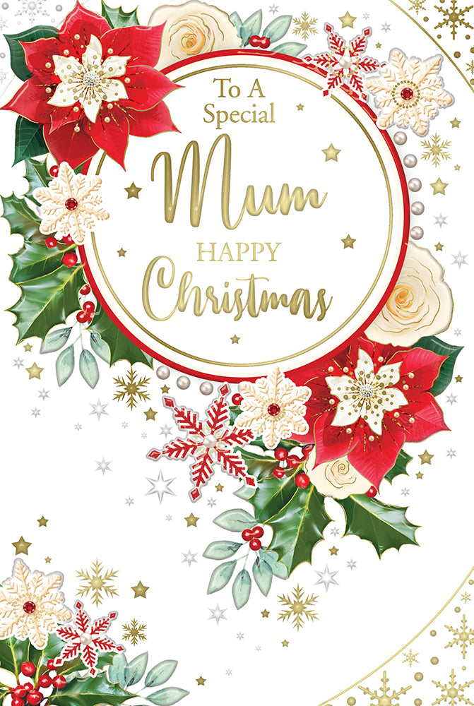 Xpress Yourself C75 Christmas Mum 6pk