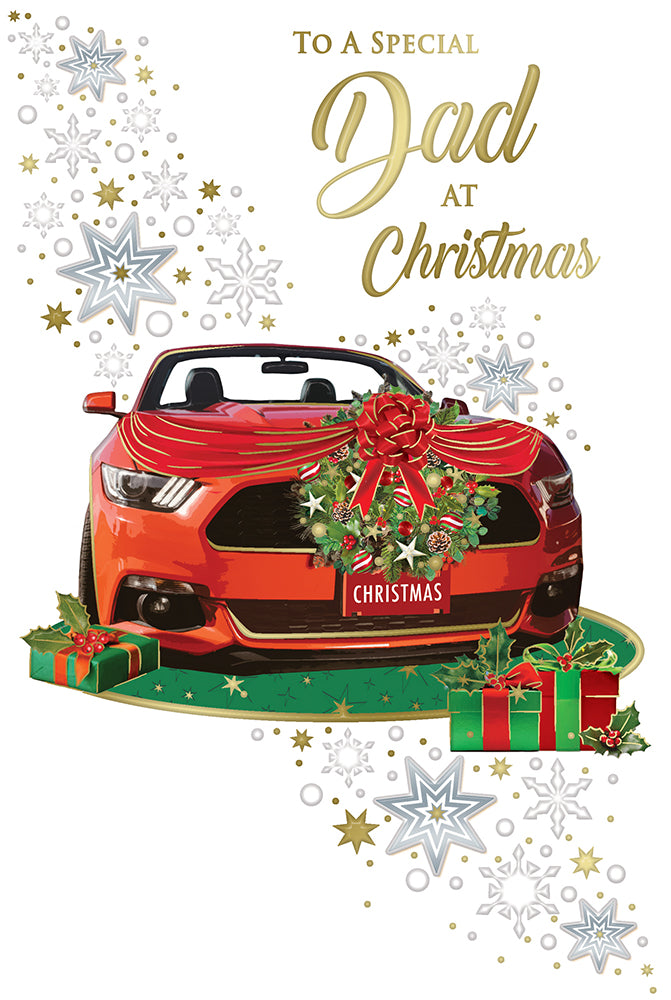Xpress Yourself C75 Christmas Dad 6pk