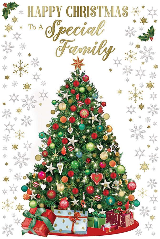 Xpress Yourself C75 Christmas Special Family 6pk