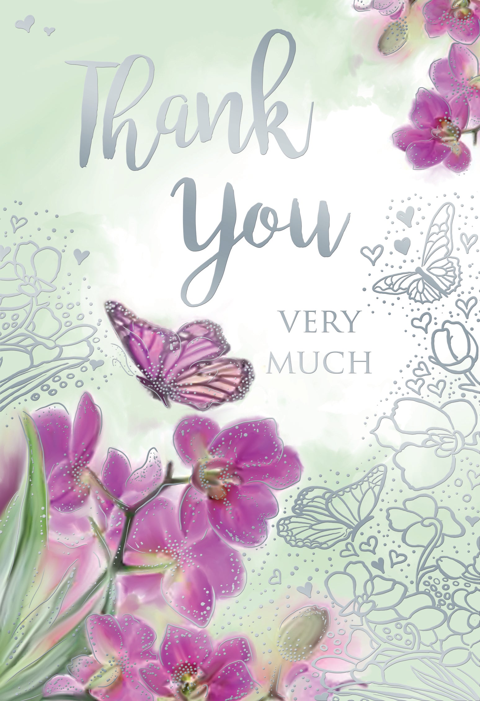 Kingfisher C50 Thank You 6pk