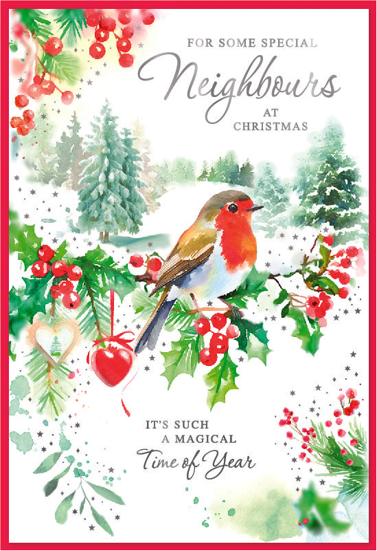 Simon Elvin C50 Christmas Neighbours