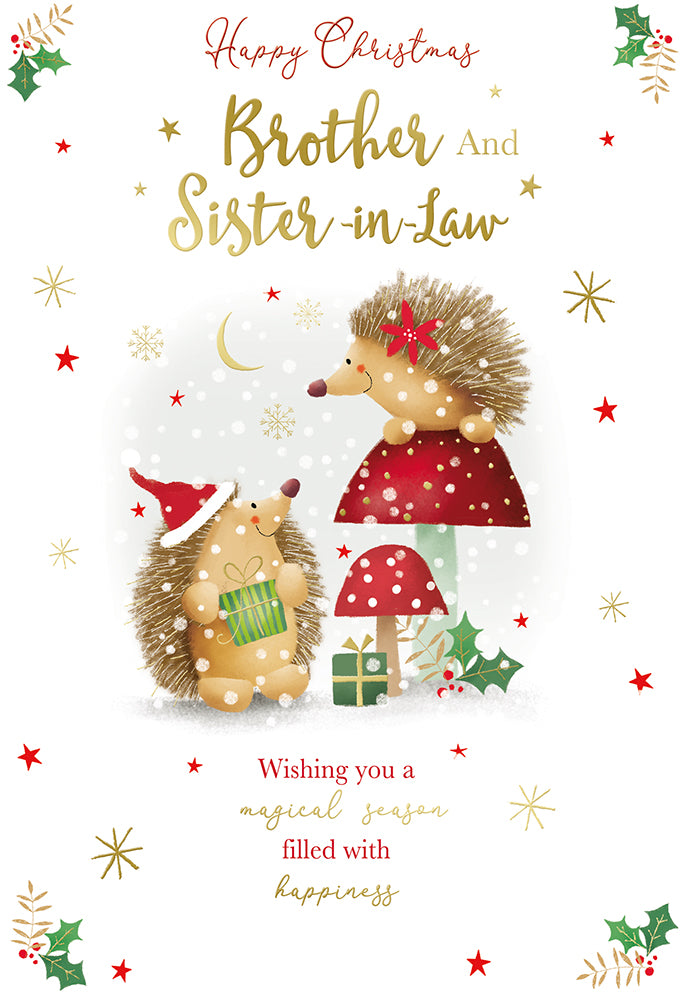 Kingfisher C50 Christmas Brother & SIL 6pk