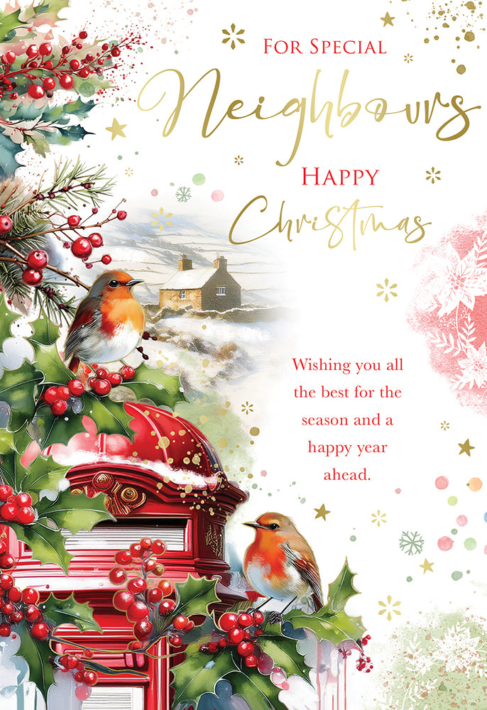 Kingfisher C50 Christmas Neighbours 6pk