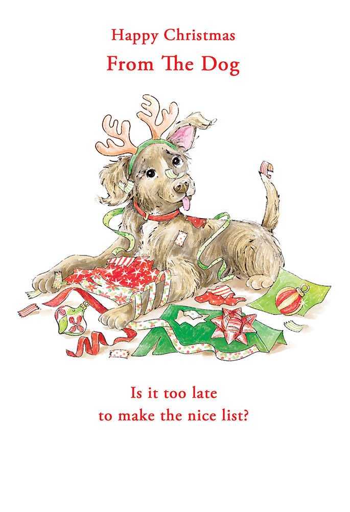 Kingfisher C50 Christmas From The Dog 6pk