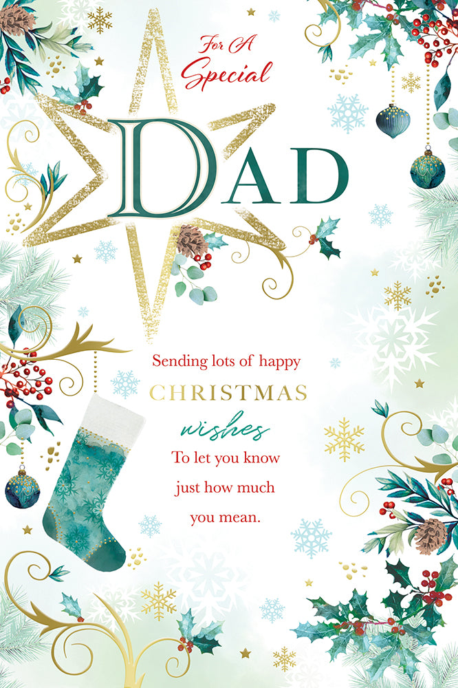 Kingfisher C75 Christmas Dad 6pk
