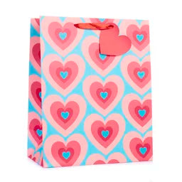 Tiger Feet 6 Pack Gift Bag Hearts Medium