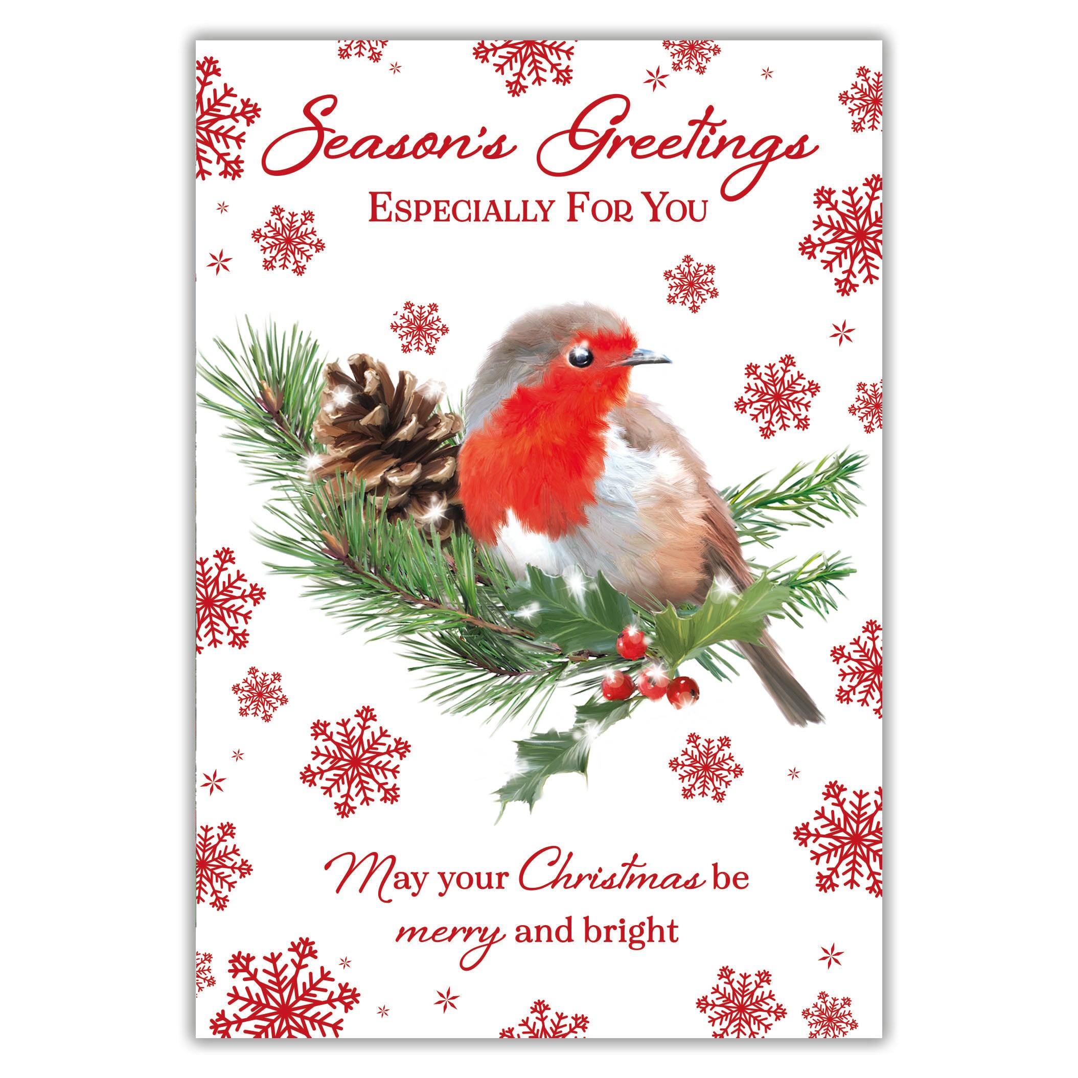 Tiger Feet Christmas C45 Boxed Cards Open 24x30pk