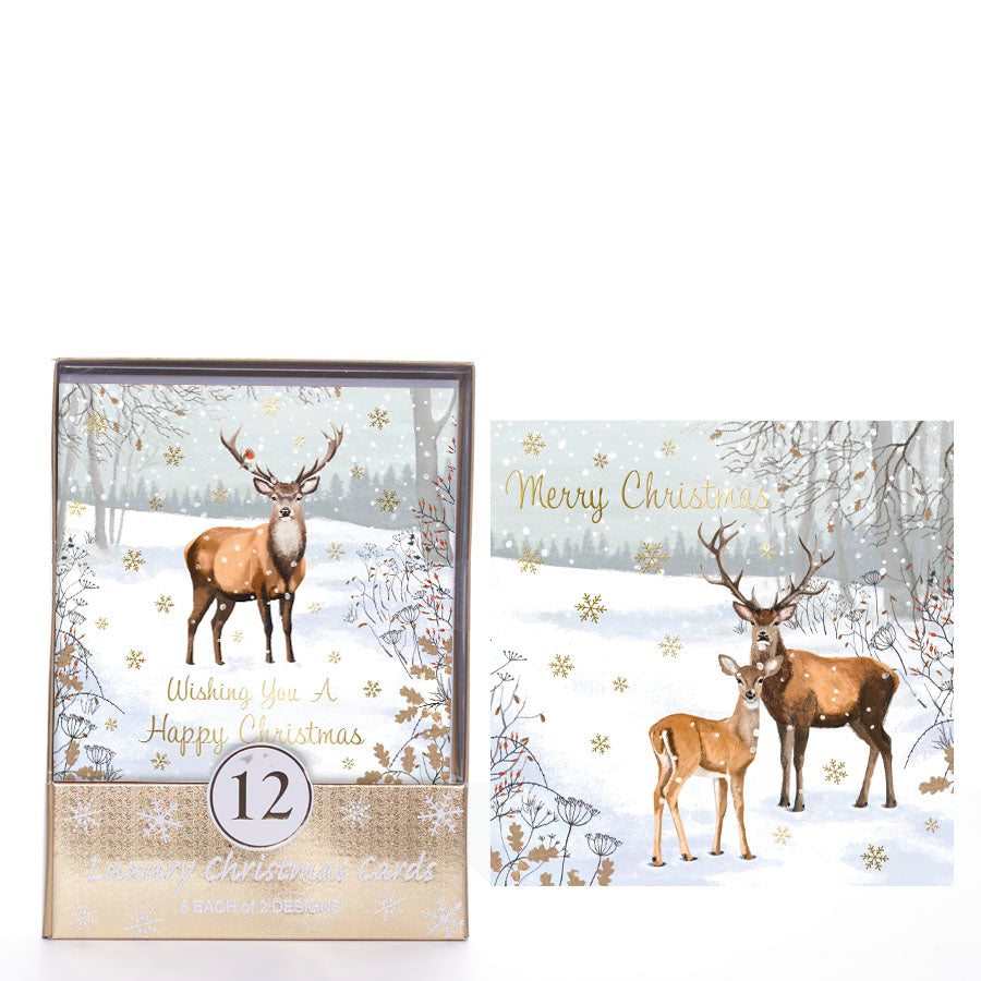 Tiger Feet C50 Christmas Acetates Stag 24x12pk