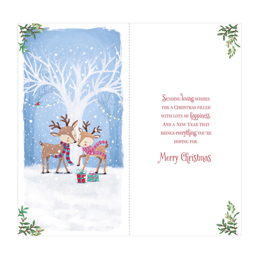 Prelude C55 Christmas Partner 6pk