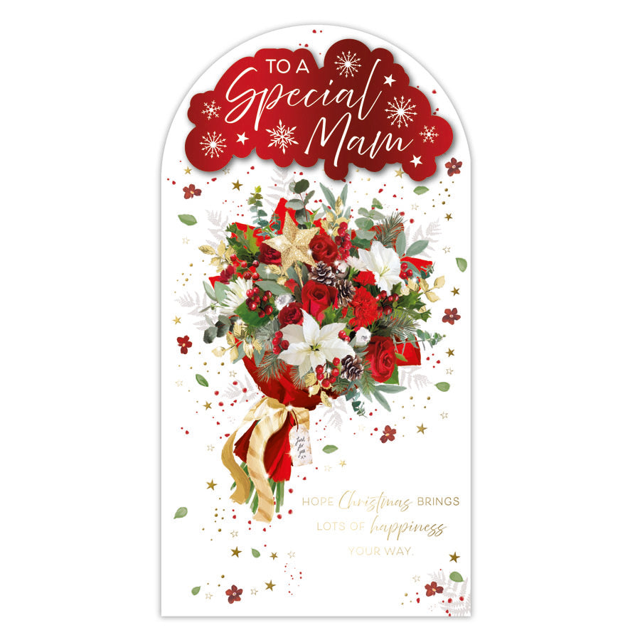 Prelude Platinum C55 Christmas Mam 6pk