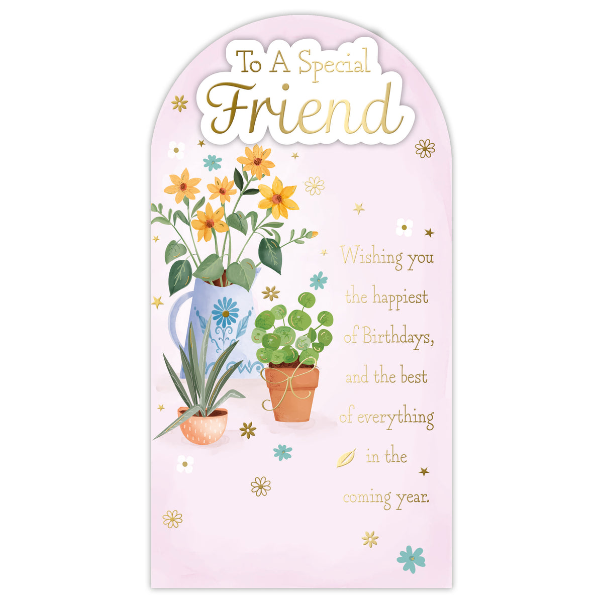 Prelude Platinum C55 Birthday Friend 6pk