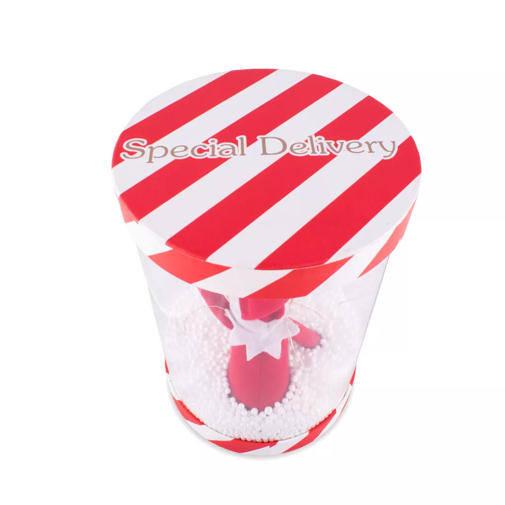 Elf Arrival Box 17.3 x 17.3 x 30cm 6pk