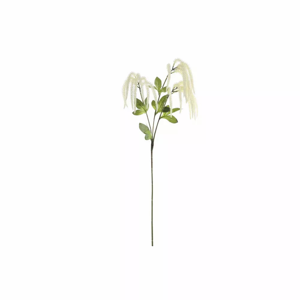 Catkin Spray White