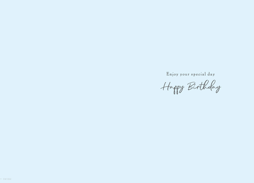 Regal 6 Pack Cards 9x6 Birthday Grandson