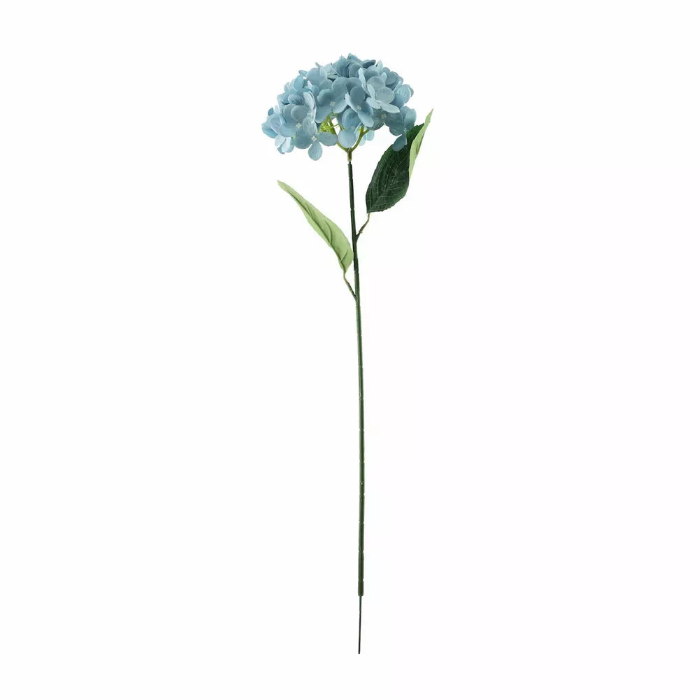 Hydrangea Blue