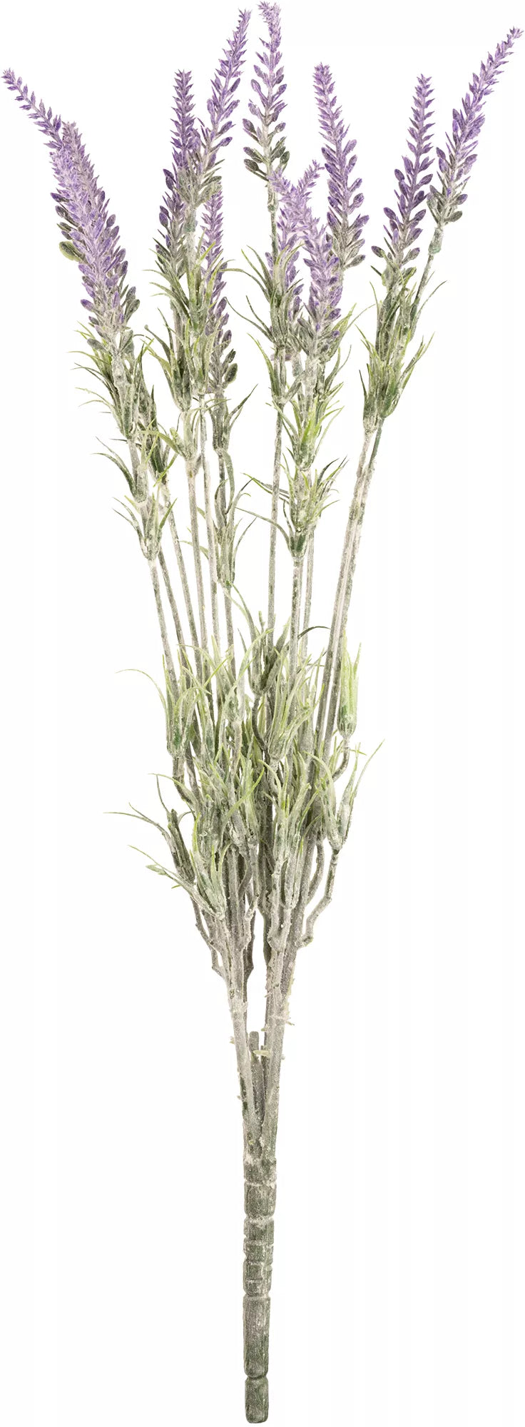 Eleganza Lavender Bush (12 Branches)