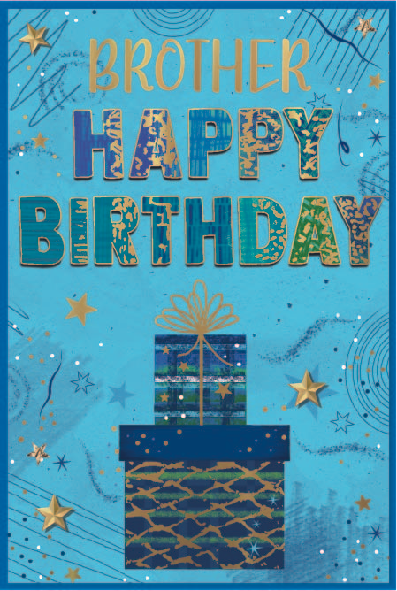 Simon Elvin 6 Pack Cards C75 Birthday Brother