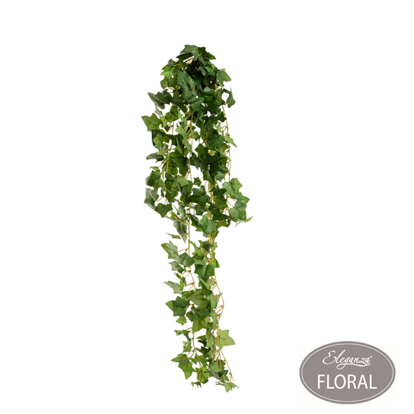 Eleganza Hanging English Green Ivy Bush