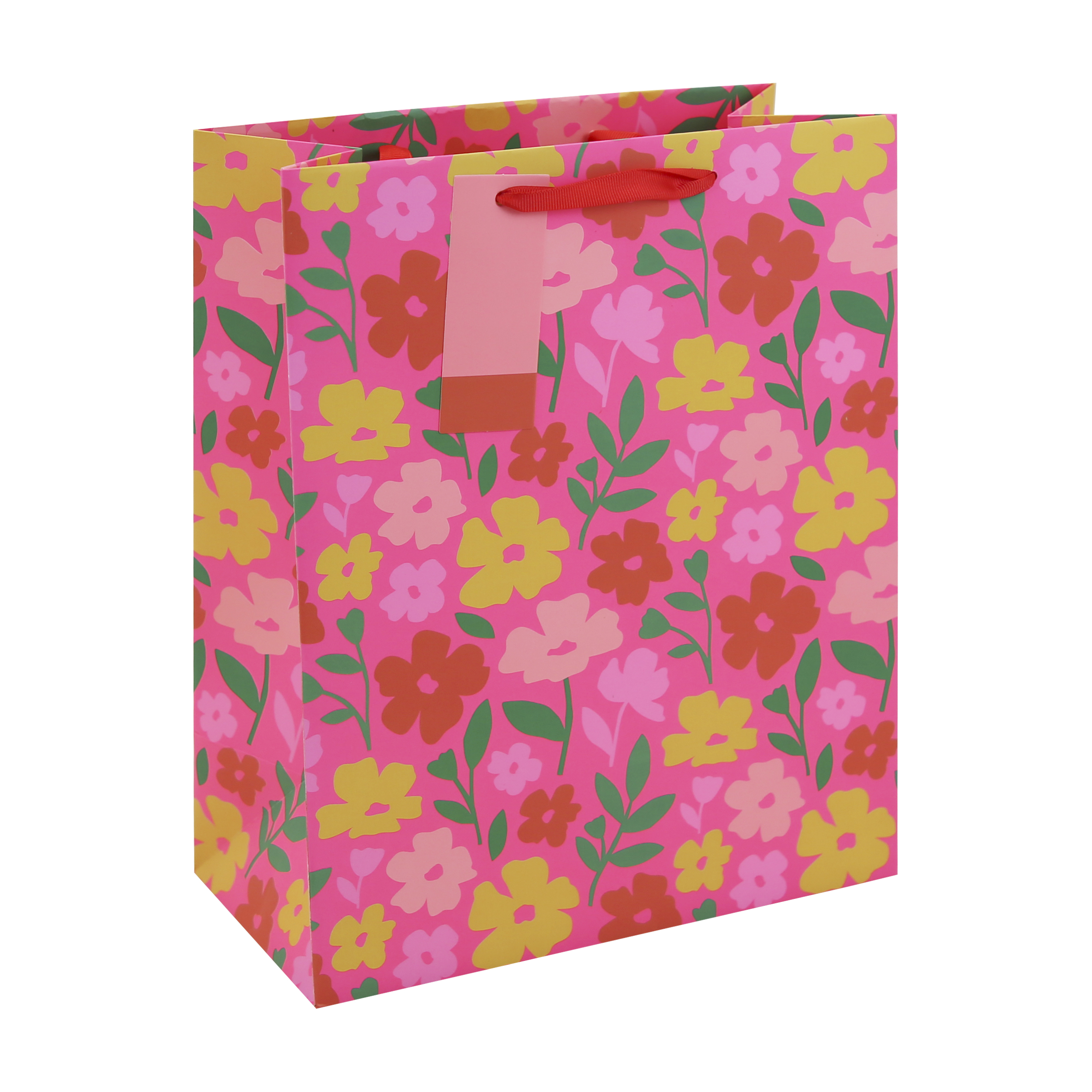 Eurowrap 6 Pack Gift Bag Neon Floral Large