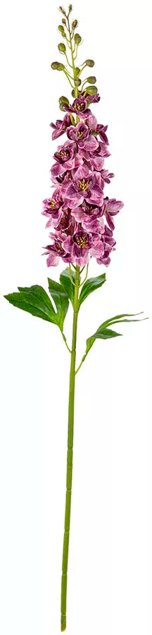 Eleganza Delphinium Stem Damson