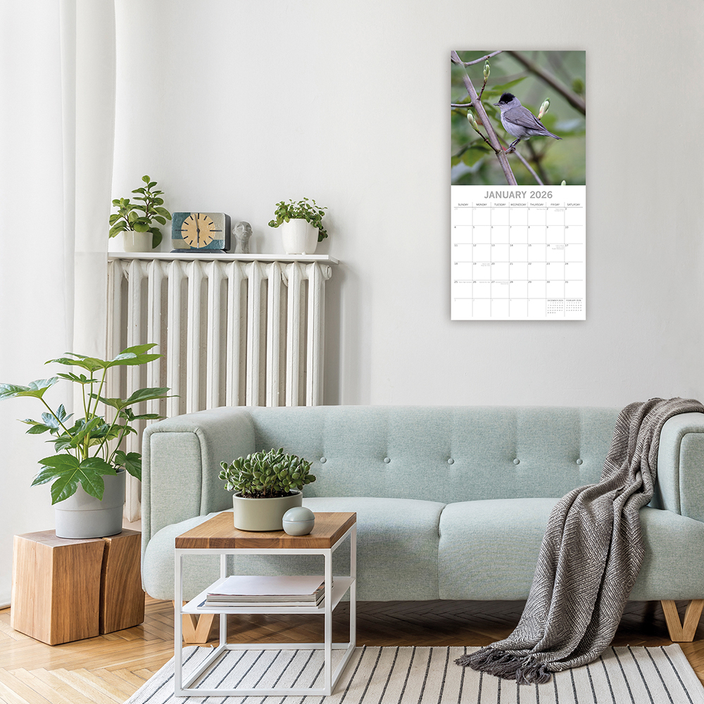 Gifted Stationery Calendar Birds 2027