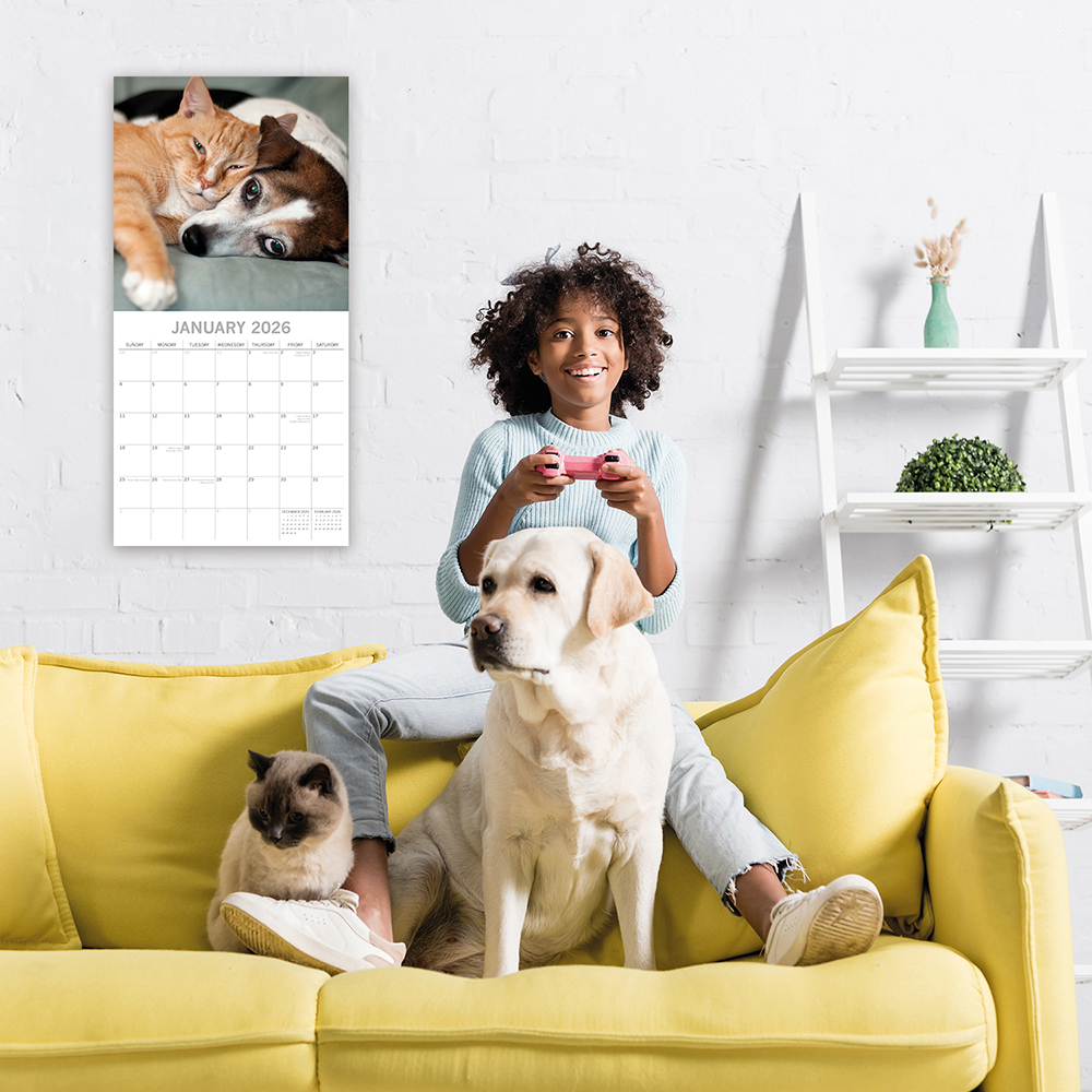 Gifted Stationery Calendar Cats & Dogs 2027