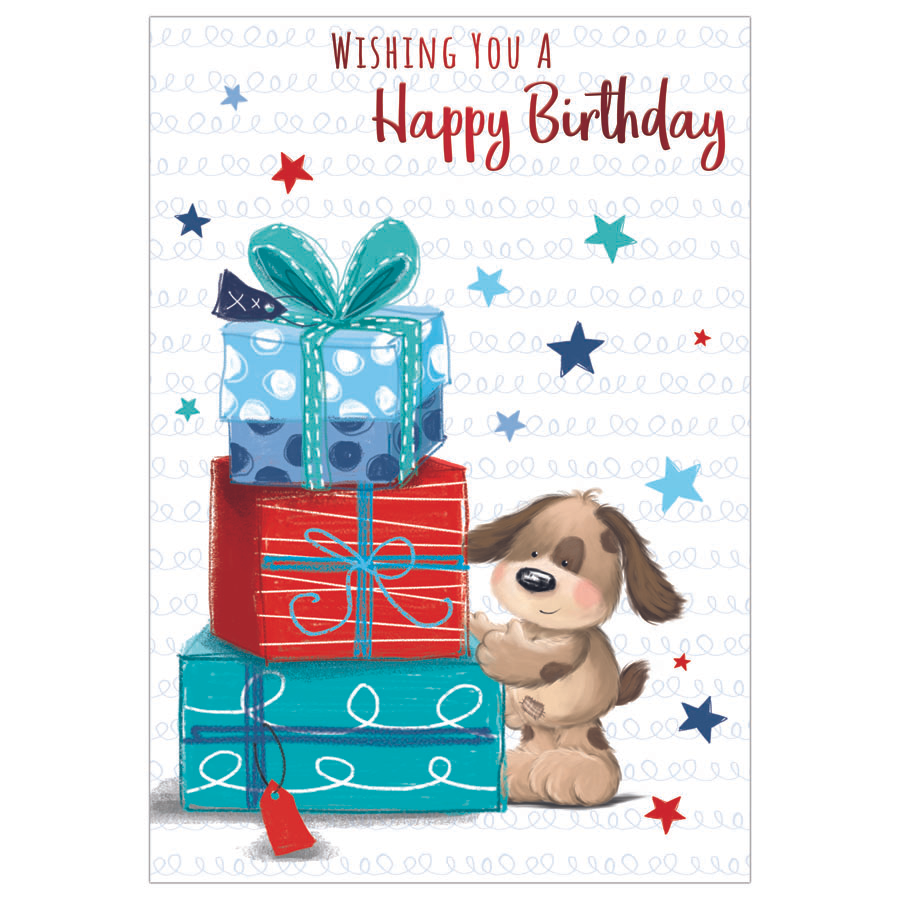 Kingsley 6 Pack Cards C50 Birthday Open