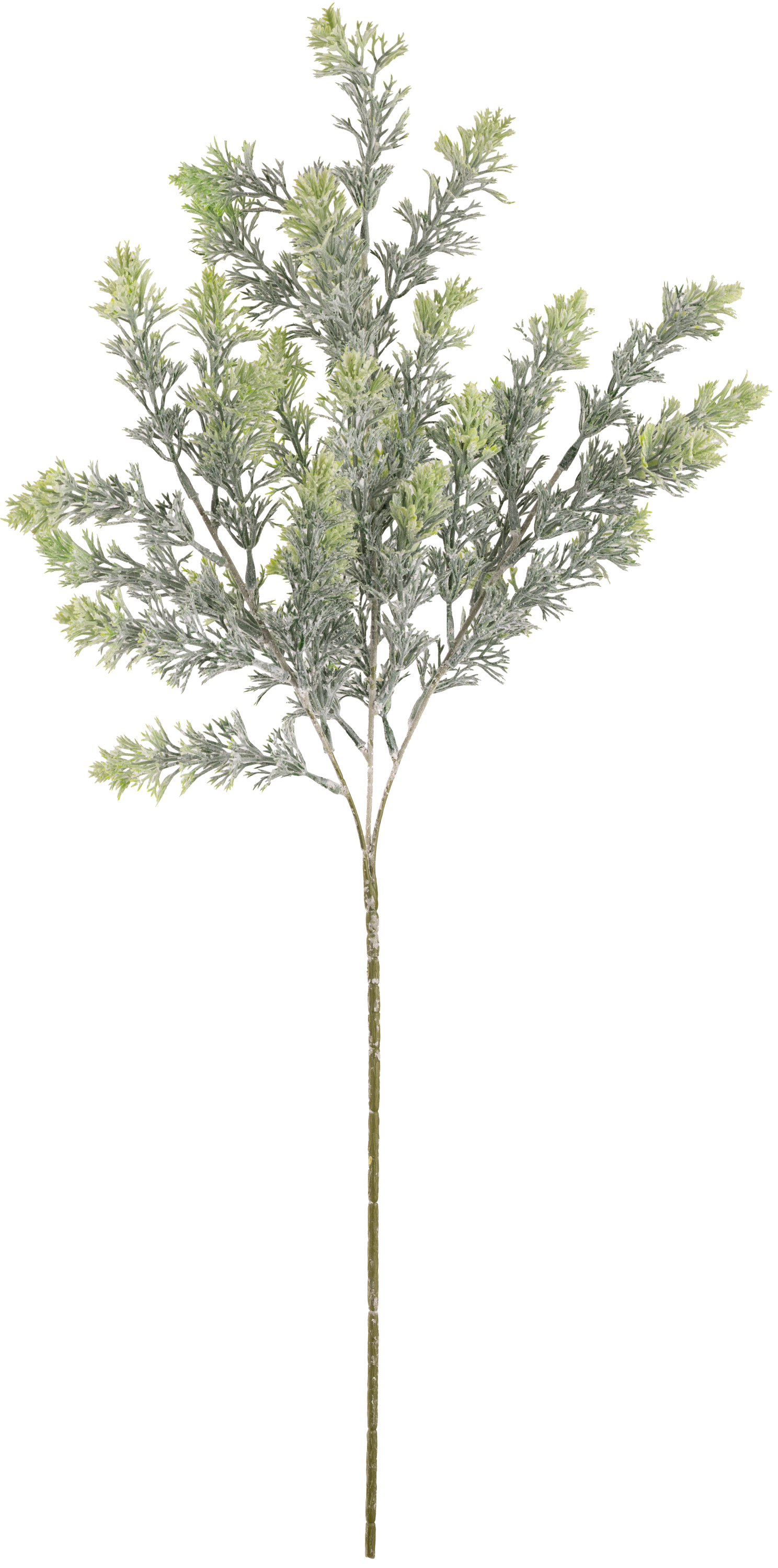 Eleganza Pine Spray Two-Tone