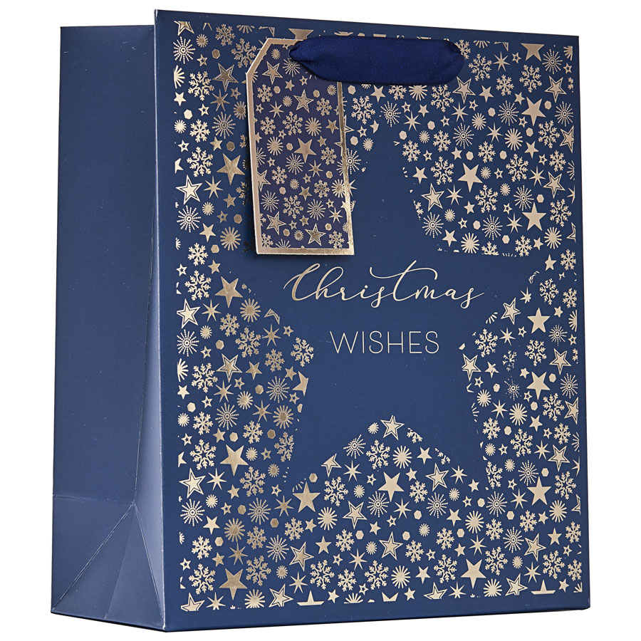Partisan 6 Pack Gift Bag Christmas Star Medium