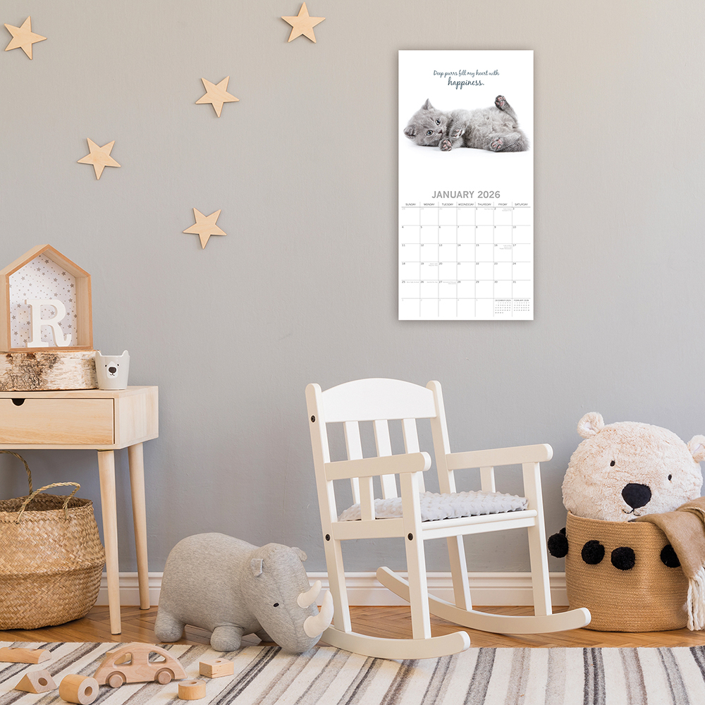 Gifted Stationery Calendar Cats & Kittens 2027