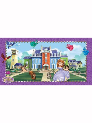 Sofia The First Scene Setter
