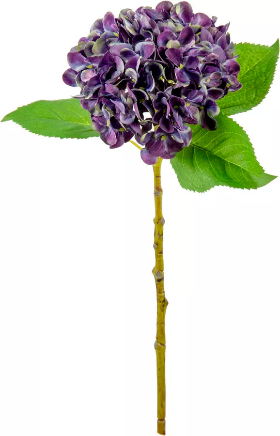Eleganza Small Head Hydrangea Blueberry