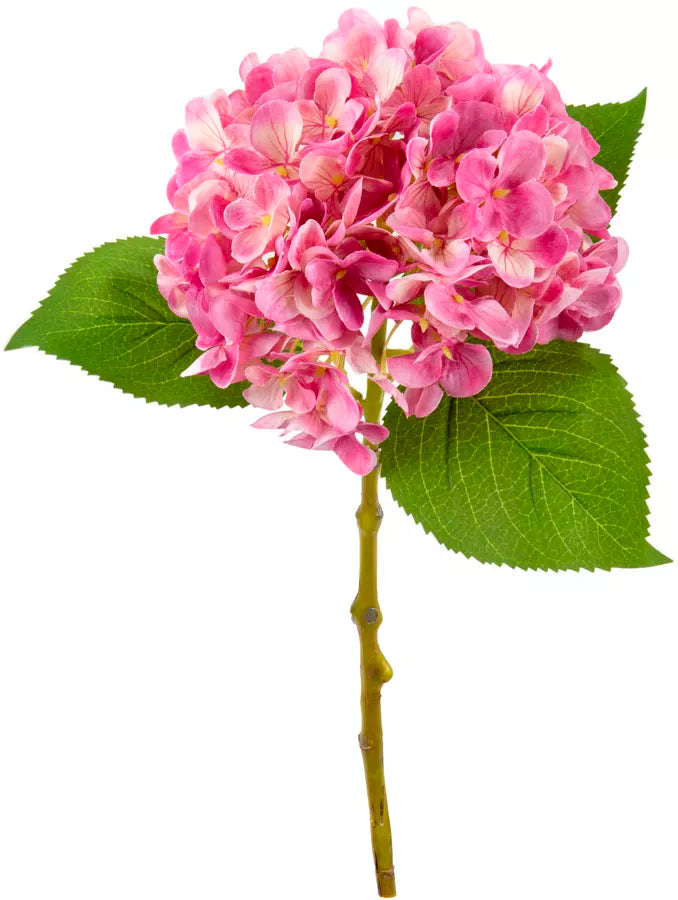 Eleganza Small Head Hydrangea Pretty Pink