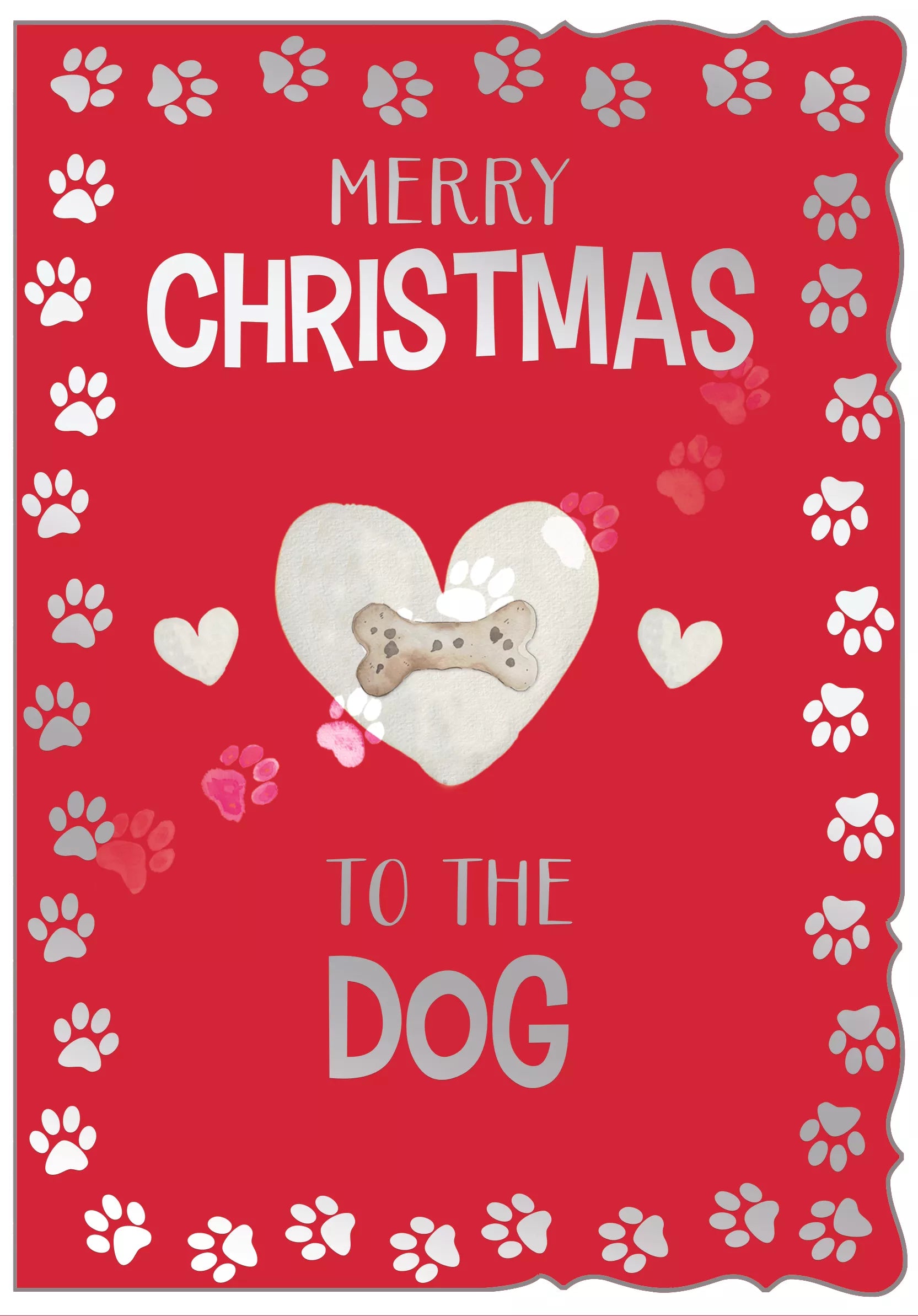 Out Of The Blue C50 Christmas Dog 6pk