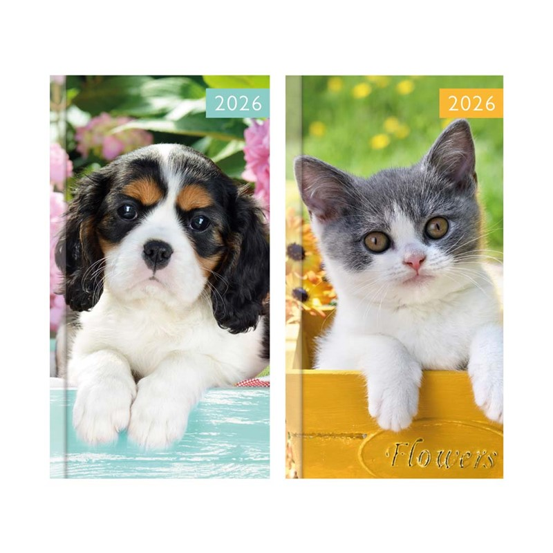 Diary Slim WTV Kitten & Puppy 2027 18pk