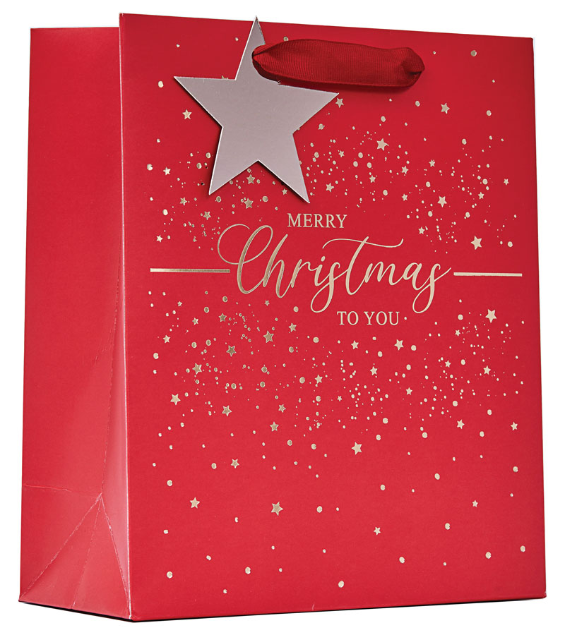 Partisan 6 Pack Gift Bag Merry Xmas Medium