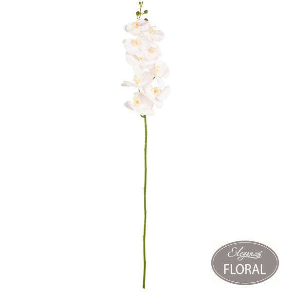 Eleganza White Phaleonopsis Orchid Stem