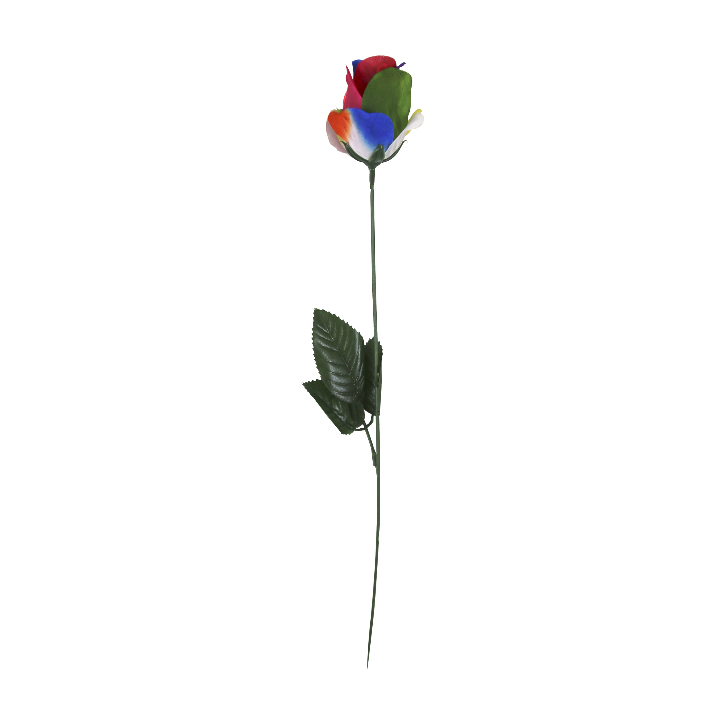 Artificial Rose In Acetate 45cm Rainbow 24pk