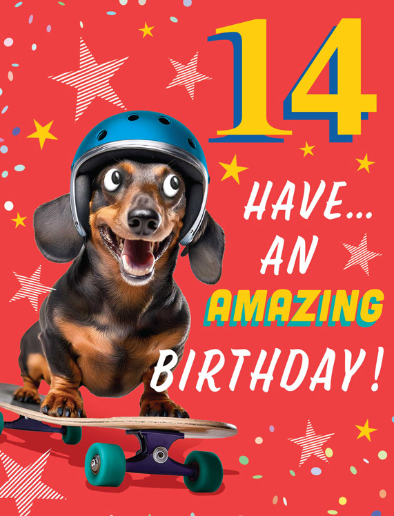 Regal 6 Pack Cards 8x6 Birthday Age 14