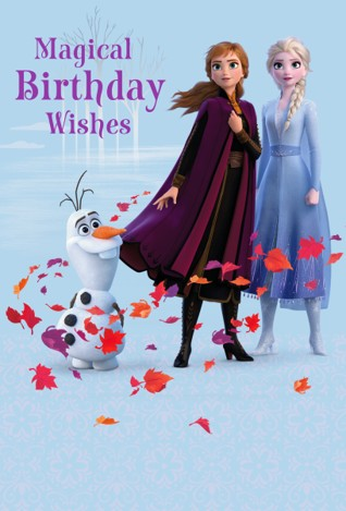 Hallmark 6 Pack Cards C32 Birthday Frozen